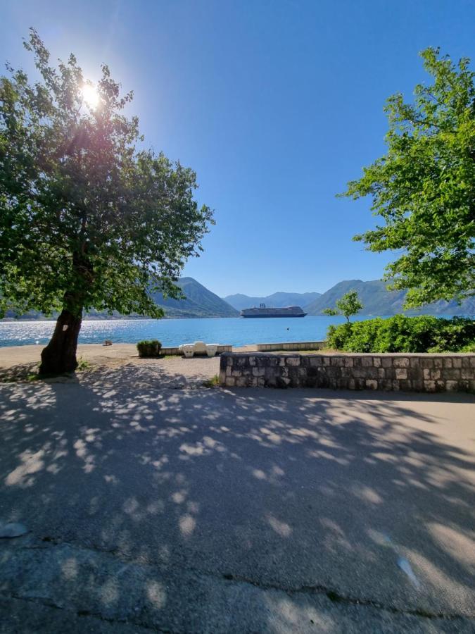 Studio On The Coast, With A View Of The Sunrise,Free We-Fi Kotor Eksteriør billede
