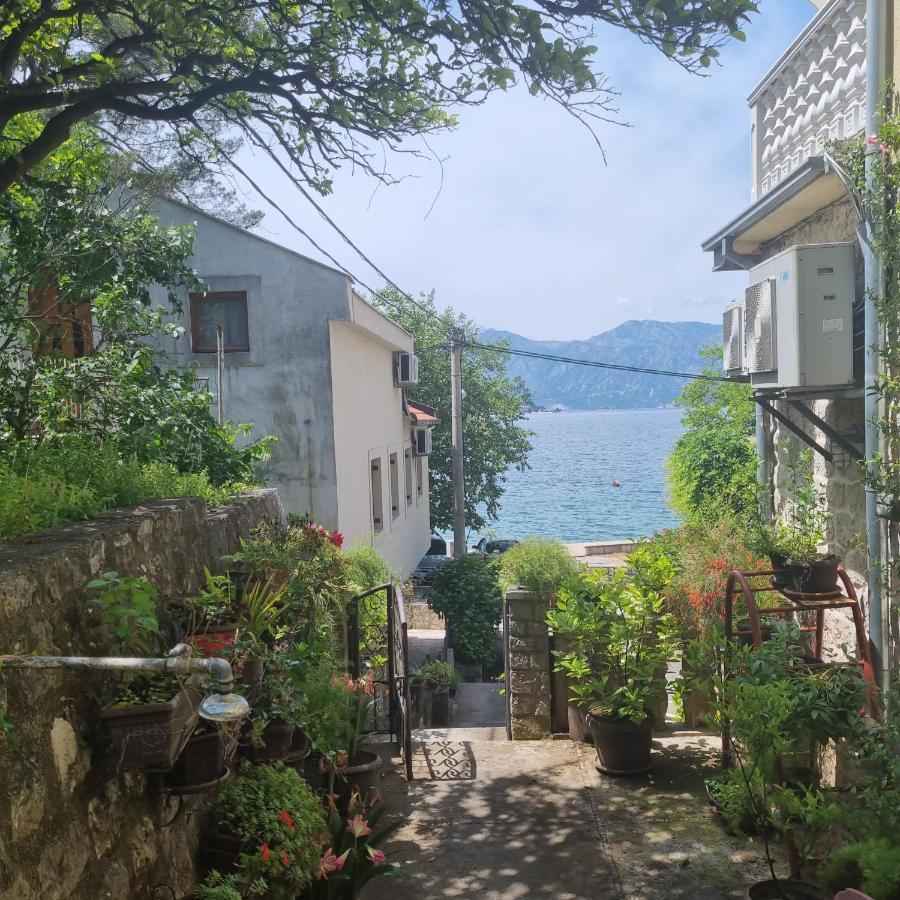 Studio On The Coast, With A View Of The Sunrise,Free We-Fi Kotor Eksteriør billede
