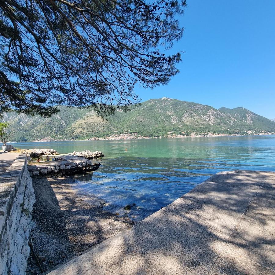 Studio On The Coast, With A View Of The Sunrise,Free We-Fi Kotor Eksteriør billede